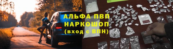 ECSTASY Медвежьегорск