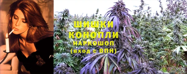 apvp Медногорск