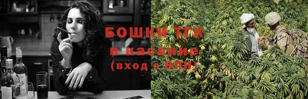 стаф Болхов