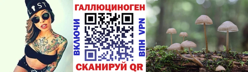 Псилоцибиновые грибы Cubensis  купить  сайты  Янаул 